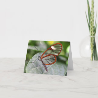 De Vlinder van Glasswing notecard Kaart