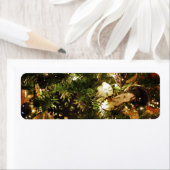 De vlinder van Kerstmis Etiket (Insitu)