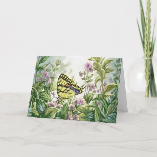 De Vlinder van Swallowtail bij het Schilderen van Kaart (Voorkant)