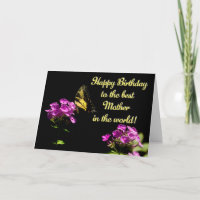 De Vlinder van Swallowtail van de tijger op Flox -