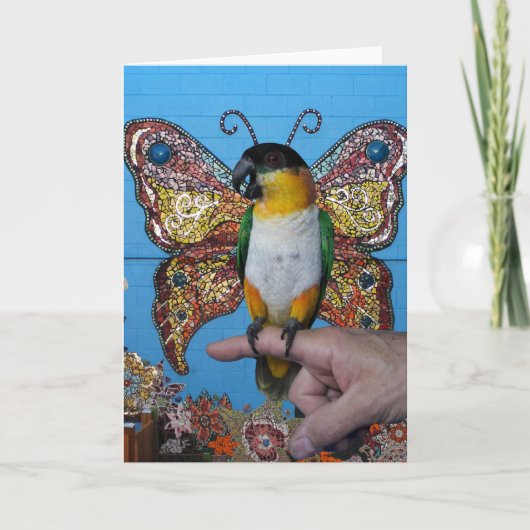 De vlinderkaart 2 van Boingo Kaart (Voorkant)