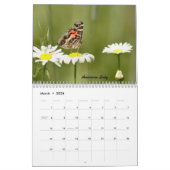 De vlinders van de Catskills Kalender (Mar 2026)