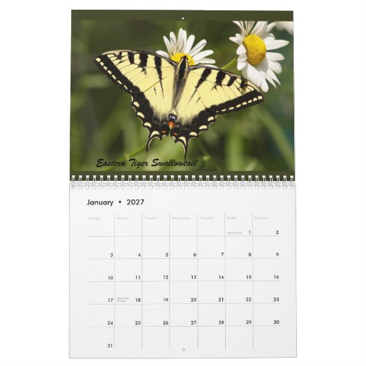 De vlinders van de Catskills Kalender (Jan 2027)