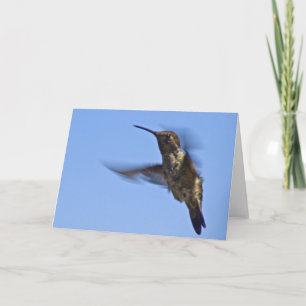 De vlucht van de kolibrie kaart