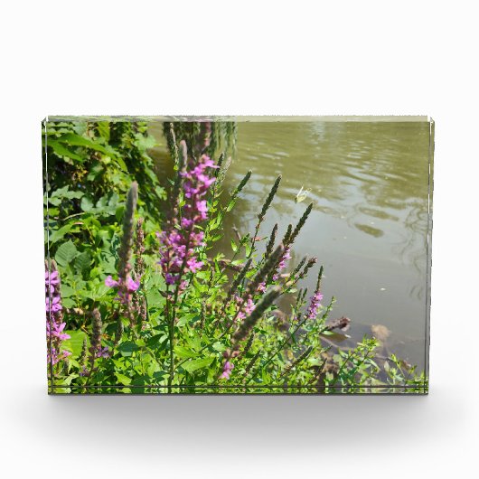 De vlucht van de witte vlinder fotoblokken (Voorkant)