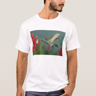 de voeding van de man aan Petunia, Madera Canyon,  T-shirt