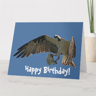 De Vogel van de visarend & het Wenskaart van de Kaart