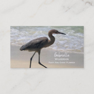 De Vogel van het strand Visitekaartje