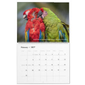 De vogelfotografie van Tom Spine ~ Kalender 2019 (Feb 2027)