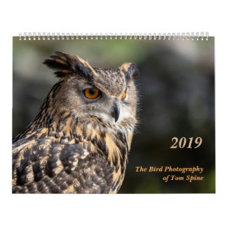 De vogelfotografie van Tom Spine ~ Kalender 2019