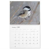De vogelfotografie van Tom Spine ~ Kalender 2019 (Jan 2027)