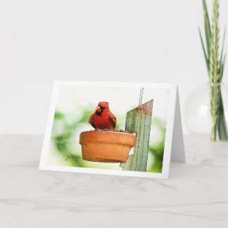 De Vogels Notecards van de binnenplaats Kaart