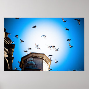 De vogels over Gothische Towers Poster