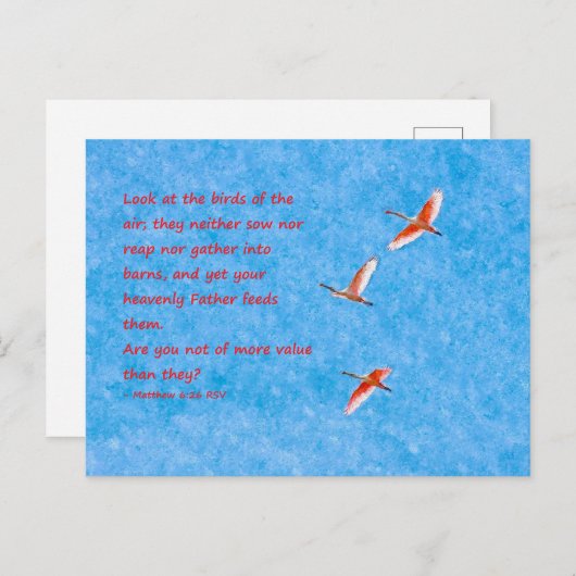 De vogels van de Air Matthew 6:26 Briefkaart (Voorkant / Achterkant)