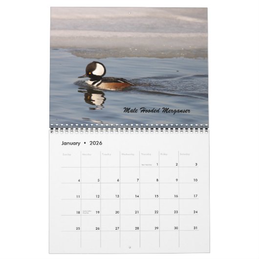 De vogels van Forsythe Kalender (Jan 2026)