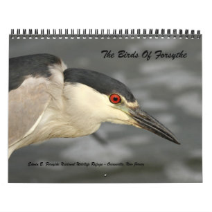De vogels van Forsythe - Officiële vluchtelingenk Kalender