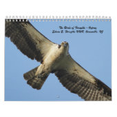 De vogels van Forsythe - Osprey Kalender (Hoes)