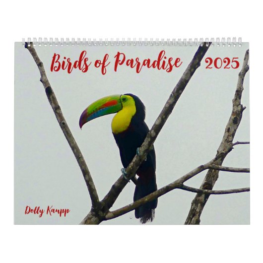 De vogels van het paradijs kalender (Hoes)