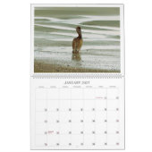 De vogels van het paradijs kalender (Jan 2027)