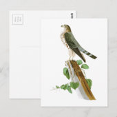 De Vogels van le Petit Caporal John Audubon van Briefkaart (Voorkant / Achterkant)