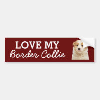 Autocollant Border Collie