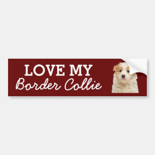 De Voiture Autocollant Border Collie