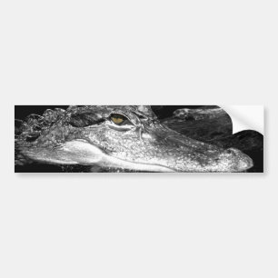 De Voiture Autocollant d'alligator
