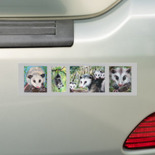 De Voiture Autocollant pare-chocs Opossum