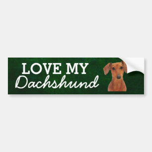 De Voiture Autocollant pour pare-chocs Dachshund