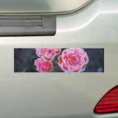 De Voiture Autocollant Roses (En voiture)