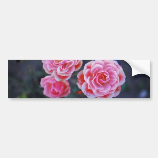De Voiture Autocollant Roses (Devant)