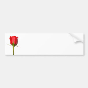 De Voiture Autocollant rouge rose