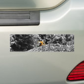 De Voiture Autocollant Tigre Cache-Cache (En voiture)