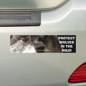 De Voiture WOLF FACE Wildlife Conservation Bumper autocollant (En voiture)