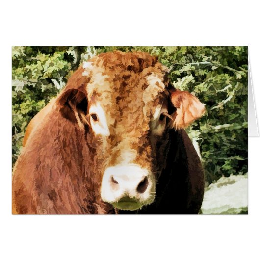 DE VOLLEDIGE KAART (Voorkant Horizontaal)