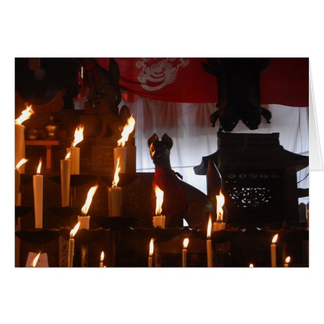 De vos (Voorkant Horizontaal)