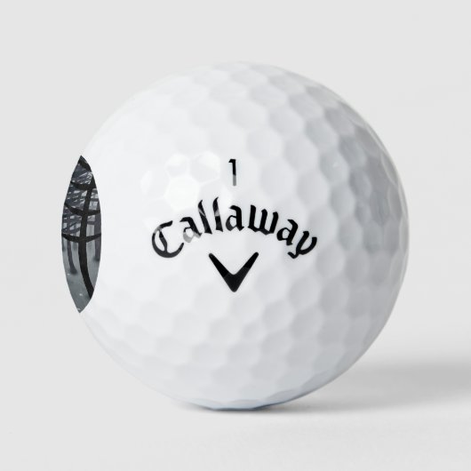De vos en het bos golfballen (Logo)