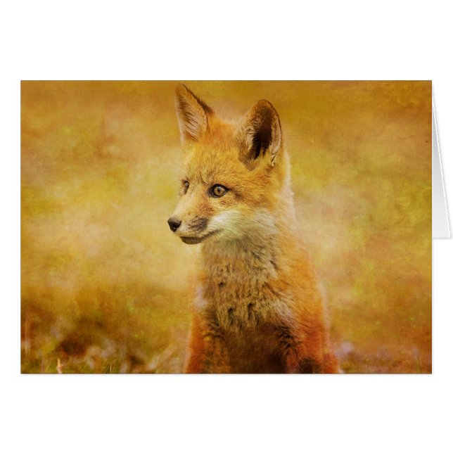 De vos in het hout (Voorkant Horizontaal)