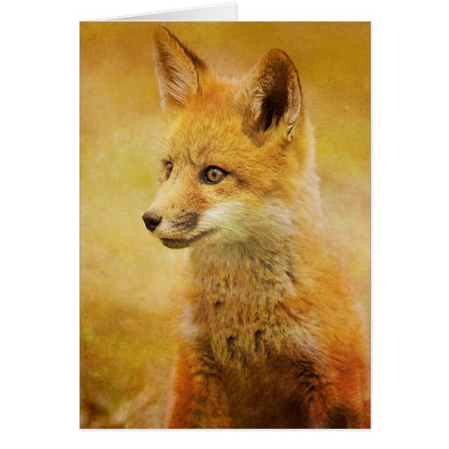 De vos in het hout (Voorkant)