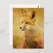 De vos in het hout briefkaart (Voorkant / Achterkant)