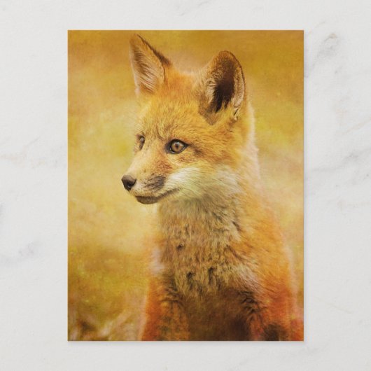De vos in het hout briefkaart (Voorkant)
