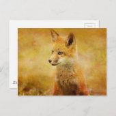 De vos in het hout briefkaart (Voorkant / Achterkant)