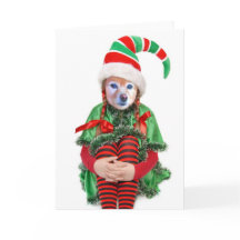 De vos is een Elf van het Meisje, #2