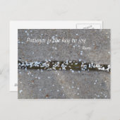 De Vreugde van Rumi van de Bloemblaadjes van de Briefkaart (Voorkant / Achterkant)