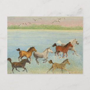 De vreugde van vrijheid 2013 briefkaart