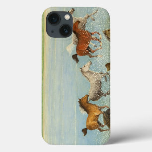 De vreugde van vrijheid 2013 iPhone 13 hoesje