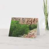 De Vriend van de Levenslust van de ezel - Spatie Kaart (Achterkant)