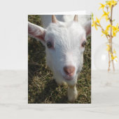 De vriendelijke geit kaart (Gele Bloem)
