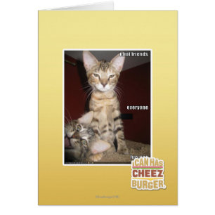 De Vrienden van de idiot