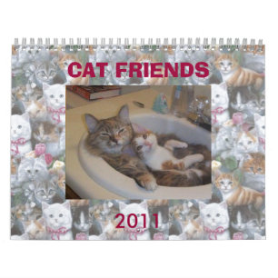 DE VRIENDEN VAN DE KAT VAN INTERNET KALENDER
